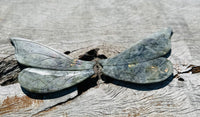 Labradorite Dragonfly Wings on Stand