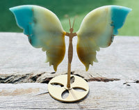 Amazonite Butterfly Wing on Stand 🦋