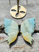 Amazonite Butterfly Wing on Stand 🦋