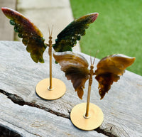 Ocean Jasper Butterfly Wings on Stand 🦋
