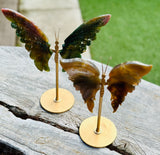 Ocean Jasper Butterfly Wings on Stand 🦋