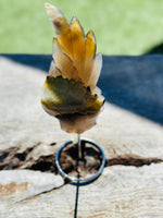 Druzy Agate wing on stand No 1