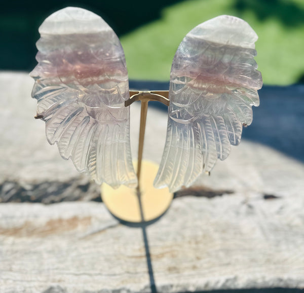 Flourite Angel Wings on Stand 😇
