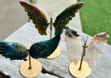 Ocean Jasper Wings on Stand