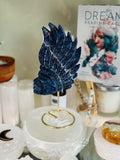 Sodalite Indian Head 💙