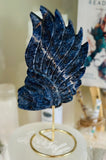 Sodalite Indian Head 💙