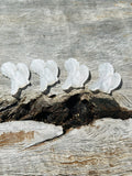 Selenite Angel 😇