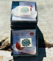 Kids Cleansing, Willpower and Motivation Pack