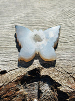 Druzy Agate Butterfly 🦋
