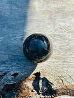 Petrified Wood Sphere with Stand ❤️