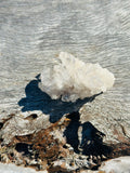 Clear Quartz Cluster