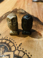 Picture Jasper Owl
