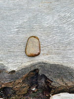 Bronzite Palm Stone ❤️