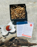 Kids Cleansing, Willpower and Motivation Pack