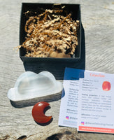 Kids Cleansing, Willpower and Motivation Pack