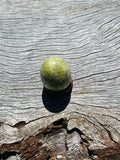 Jade Egg with Stand