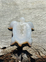 Druzy Agate Turtle 🐢