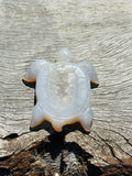 Druzy Agate Turtle 🐢
