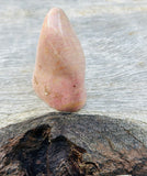 Pink Petrified Wood Polished Freeform