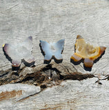 Druzy Agate Butterfly 🦋
