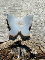 Druzy Agate Butterfly 🦋