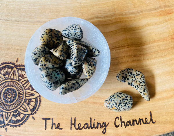 Dalmatian Jasper Tumbled Stones