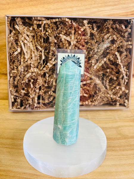 Amazonite Generator Charging Pack 💙
