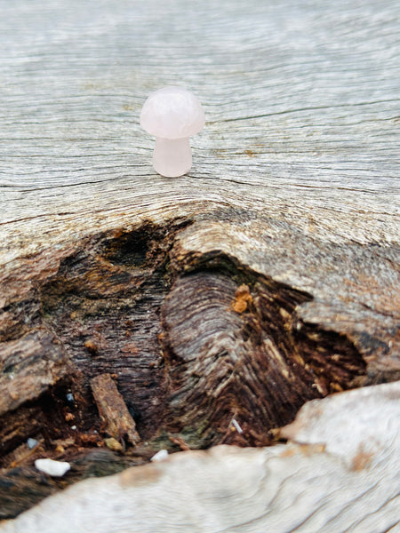 Rose Quartz Mini Mushroom 🍄