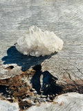 Clear Quartz Cluster