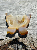 Druzy Agate Butterfly 🦋