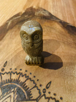 Picture Jasper Owl